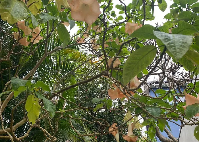 Bondi Beach House Sydney